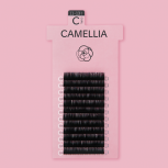 CAMELLIA BLACK / C CURL