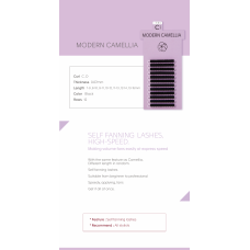 MODERN CAMELLIA / C CURL