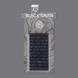 BLACK SWAN / D+ CURL